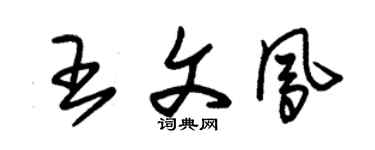 朱錫榮王文鳳草書個性簽名怎么寫
