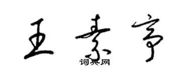 梁錦英王素亭草書個性簽名怎么寫