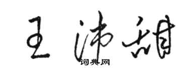 駱恆光王沛甜草書個性簽名怎么寫