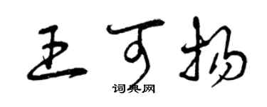 曾慶福王可揚草書個性簽名怎么寫