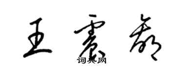 梁錦英王震贏草書個性簽名怎么寫