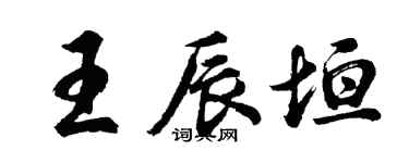 胡問遂王辰垣行書個性簽名怎么寫