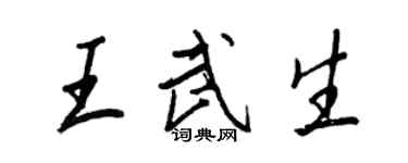 王正良王武生行書個性簽名怎么寫
