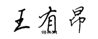 王正良王有昂行書個性簽名怎么寫