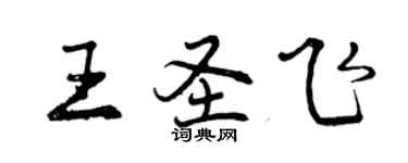 曾慶福王聖飛行書個性簽名怎么寫