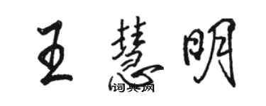 駱恆光王慧明行書個性簽名怎么寫