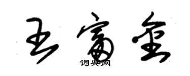 朱錫榮王富金草書個性簽名怎么寫