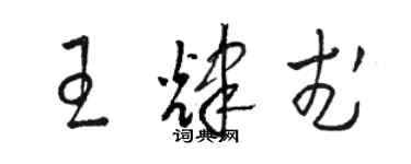 駱恆光王輝武草書個性簽名怎么寫