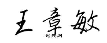 王正良王章敏行書個性簽名怎么寫