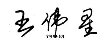 朱錫榮王偉星草書個性簽名怎么寫