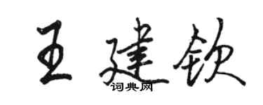 駱恆光王建欽行書個性簽名怎么寫