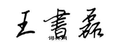 王正良王書磊行書個性簽名怎么寫