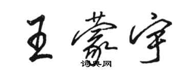 駱恆光王蒙宇行書個性簽名怎么寫