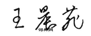 駱恆光王晨菲草書個性簽名怎么寫