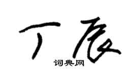 朱錫榮丁辰草書個性簽名怎么寫