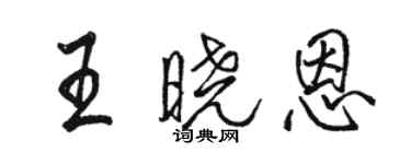 駱恆光王曉恩行書個性簽名怎么寫