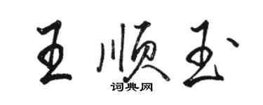 駱恆光王順玉行書個性簽名怎么寫