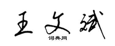 梁錦英王文斌草書個性簽名怎么寫