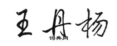 駱恆光王丹楊行書個性簽名怎么寫