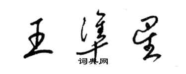 梁錦英王準星草書個性簽名怎么寫