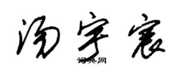 朱錫榮湯宇宸草書個性簽名怎么寫