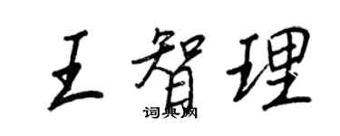 王正良王智理行書個性簽名怎么寫