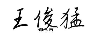 王正良王俊猛行書個性簽名怎么寫