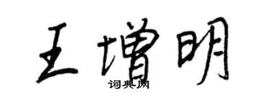 王正良王增明行書個性簽名怎么寫