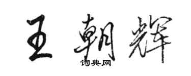 駱恆光王朝輝行書個性簽名怎么寫