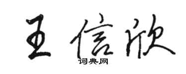 駱恆光王信欣行書個性簽名怎么寫