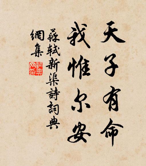 略彴低橫露淺灘,瘦筇獨立月華殘 詩詞名句