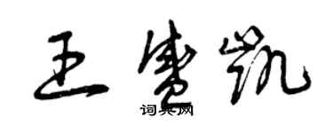 曾慶福王盛凱草書個性簽名怎么寫