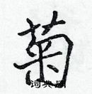 張標寫的硬筆楷書菊