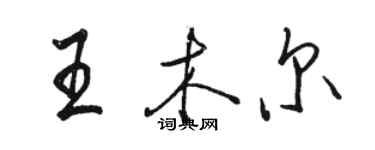 駱恆光王木爾行書個性簽名怎么寫