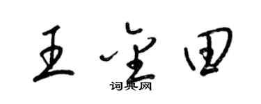 梁錦英王金田草書個性簽名怎么寫