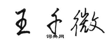駱恆光王千微行書個性簽名怎么寫