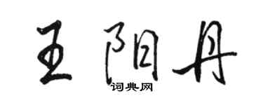 駱恆光王陽丹行書個性簽名怎么寫