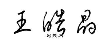 梁錦英王皓晶草書個性簽名怎么寫