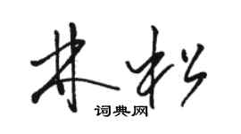 駱恆光林松草書個性簽名怎么寫
