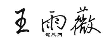 駱恆光王雨薇行書個性簽名怎么寫
