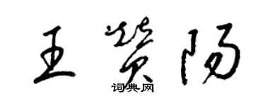 梁錦英王贊陽草書個性簽名怎么寫