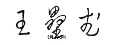 駱恆光王壘武草書個性簽名怎么寫