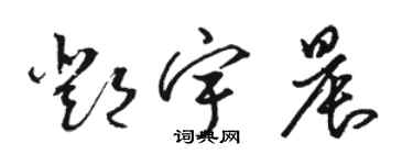 駱恆光鄧宇晨草書個性簽名怎么寫