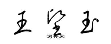 梁錦英王堅玉草書個性簽名怎么寫