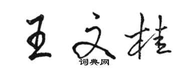 駱恆光王文桂行書個性簽名怎么寫