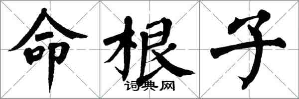 翁闓運命根子楷書怎么寫