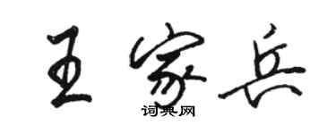 駱恆光王家兵行書個性簽名怎么寫