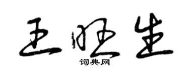 曾慶福王旺生草書個性簽名怎么寫