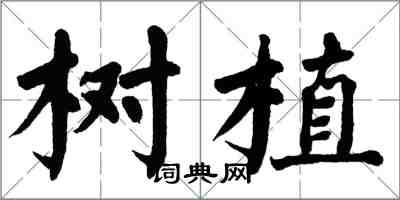 翁闓運樹植楷書怎么寫