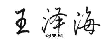 駱恆光王澤海行書個性簽名怎么寫